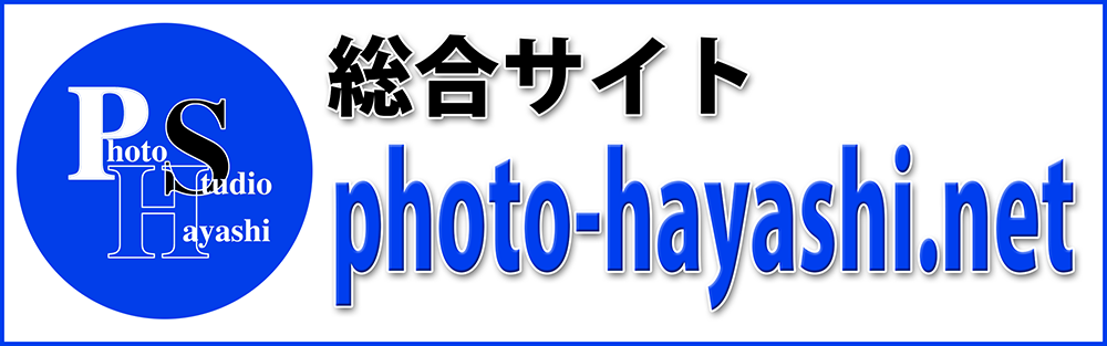 総合サイトnet